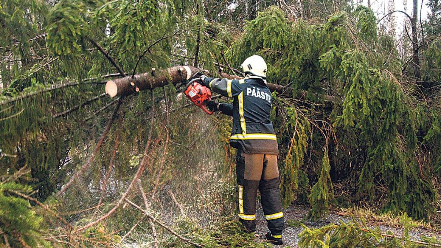 Päästjatele andsid kõvasti tööd teedele murdunud puud.
