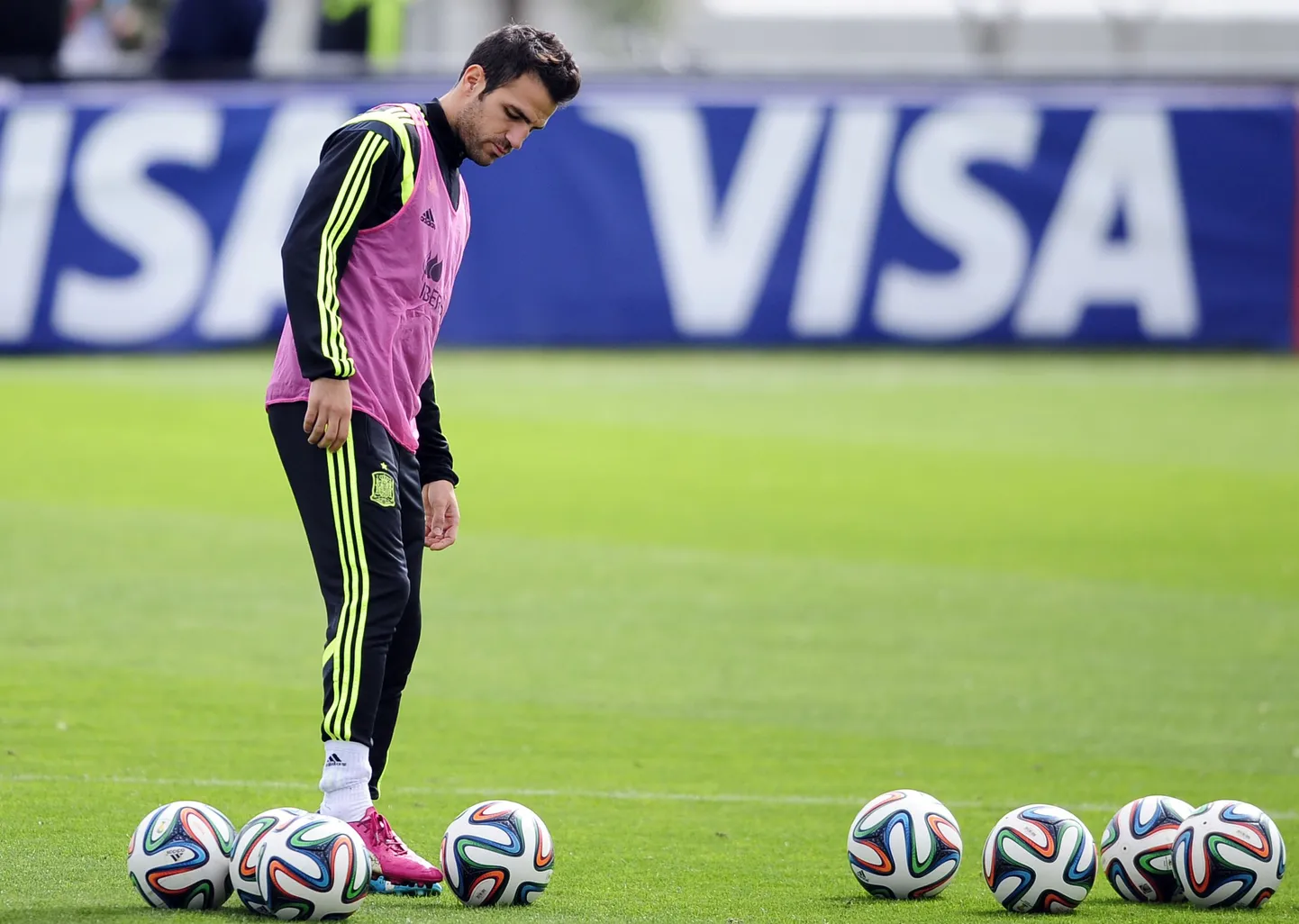 Cesc Fabregas.