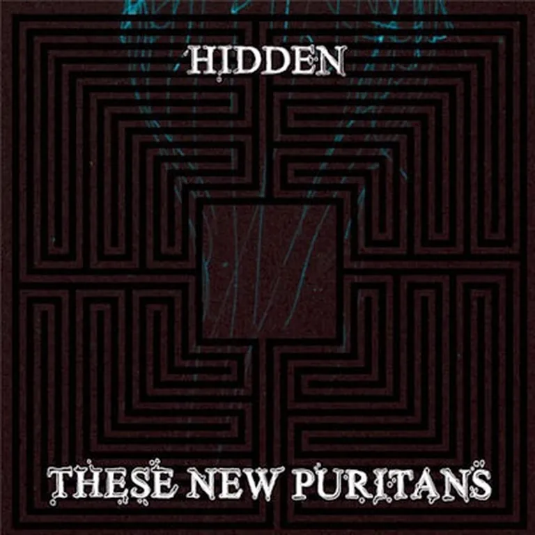 These New Puritans "Hidden" 
