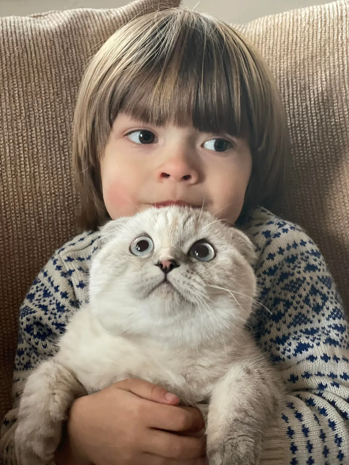 Raksta foto
