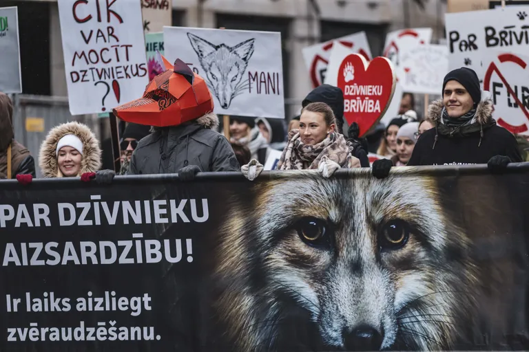 Raksta foto