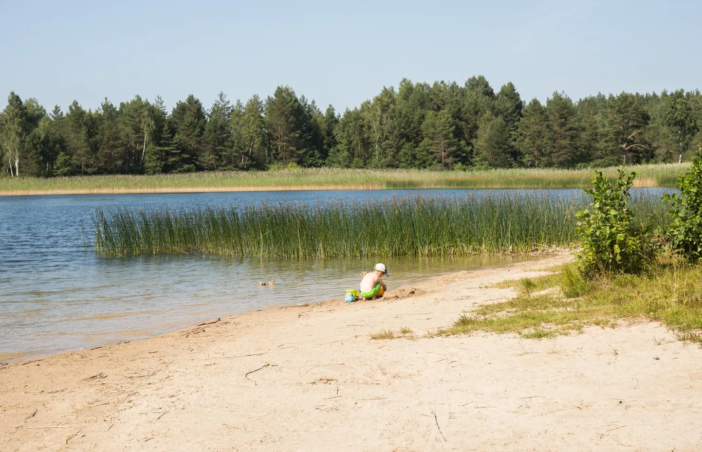 Kurtna järvestikus asuv Nõmme järv.