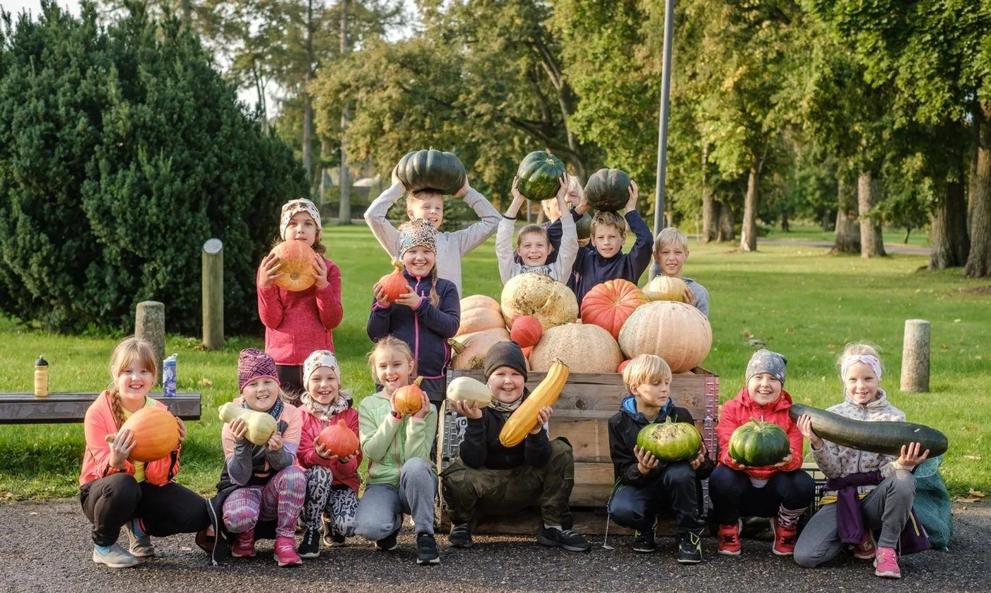 Tõstamaa keskkooli õpilased saatsid eelmisel aastal hoole ja armastusega kasvatatud viljad loomaaeda, et sealsed asukad saaksid pidada kõrvitsapidu.