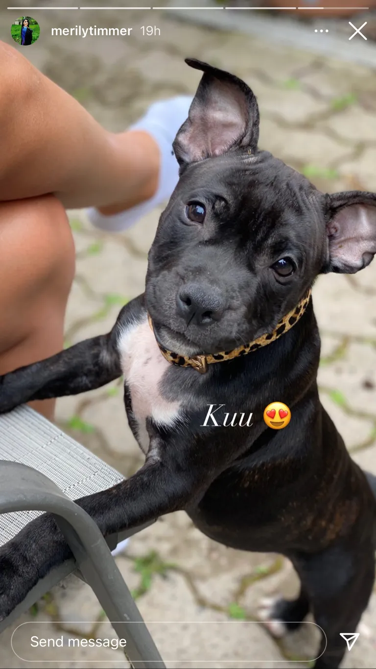 Kuu