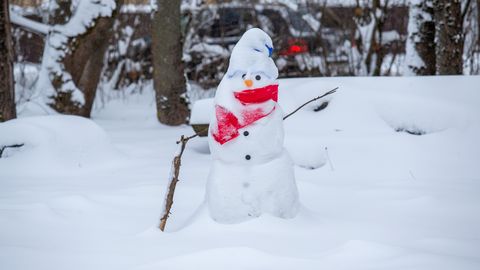 PAKANE NÄPISTAB ⟩ Soomes registreeriti selle talve külmarekord