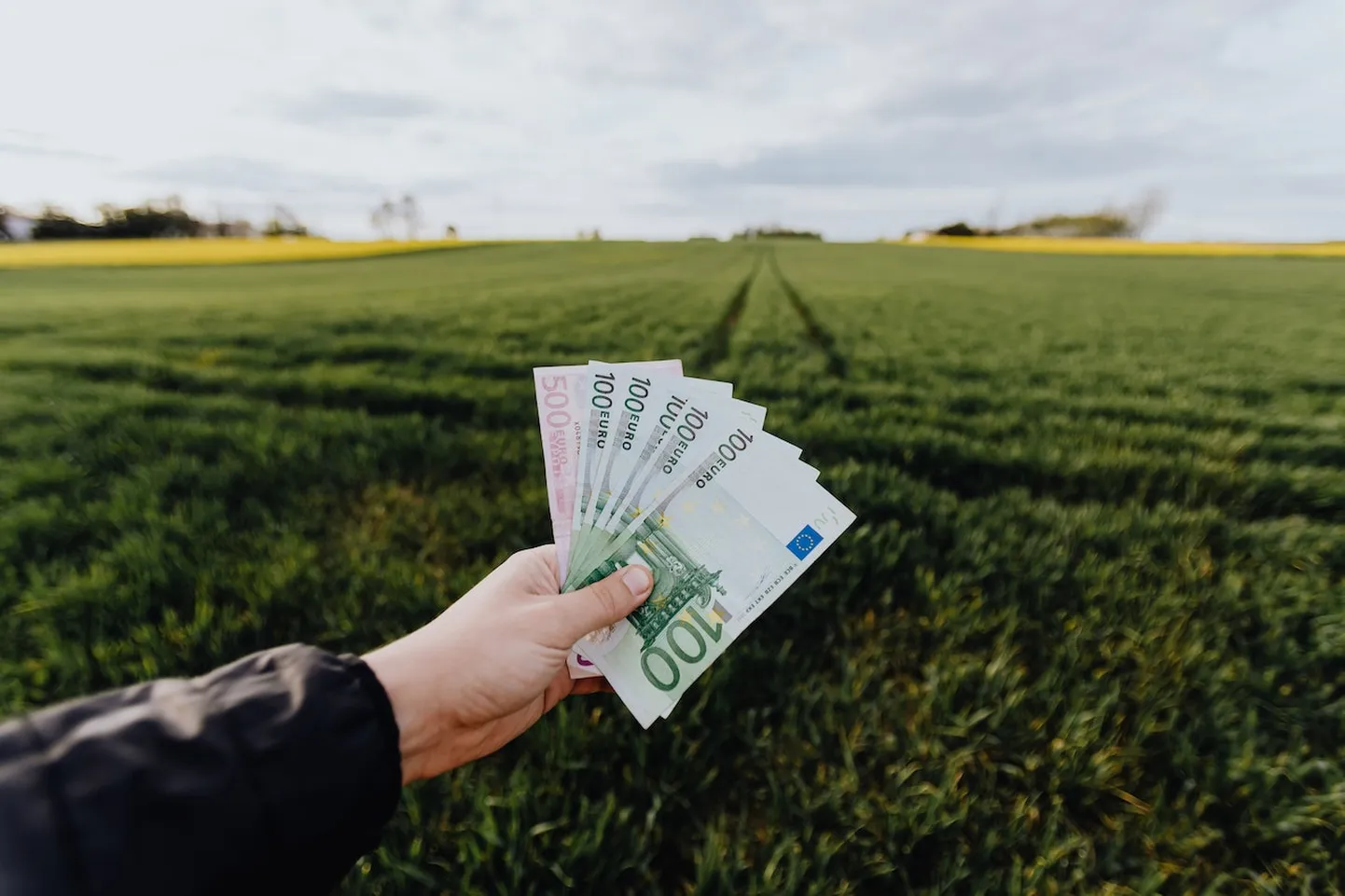 Tänu automatiseeritud protsessile vaadatakse laenutaotlused läbi peaaegu kohe.