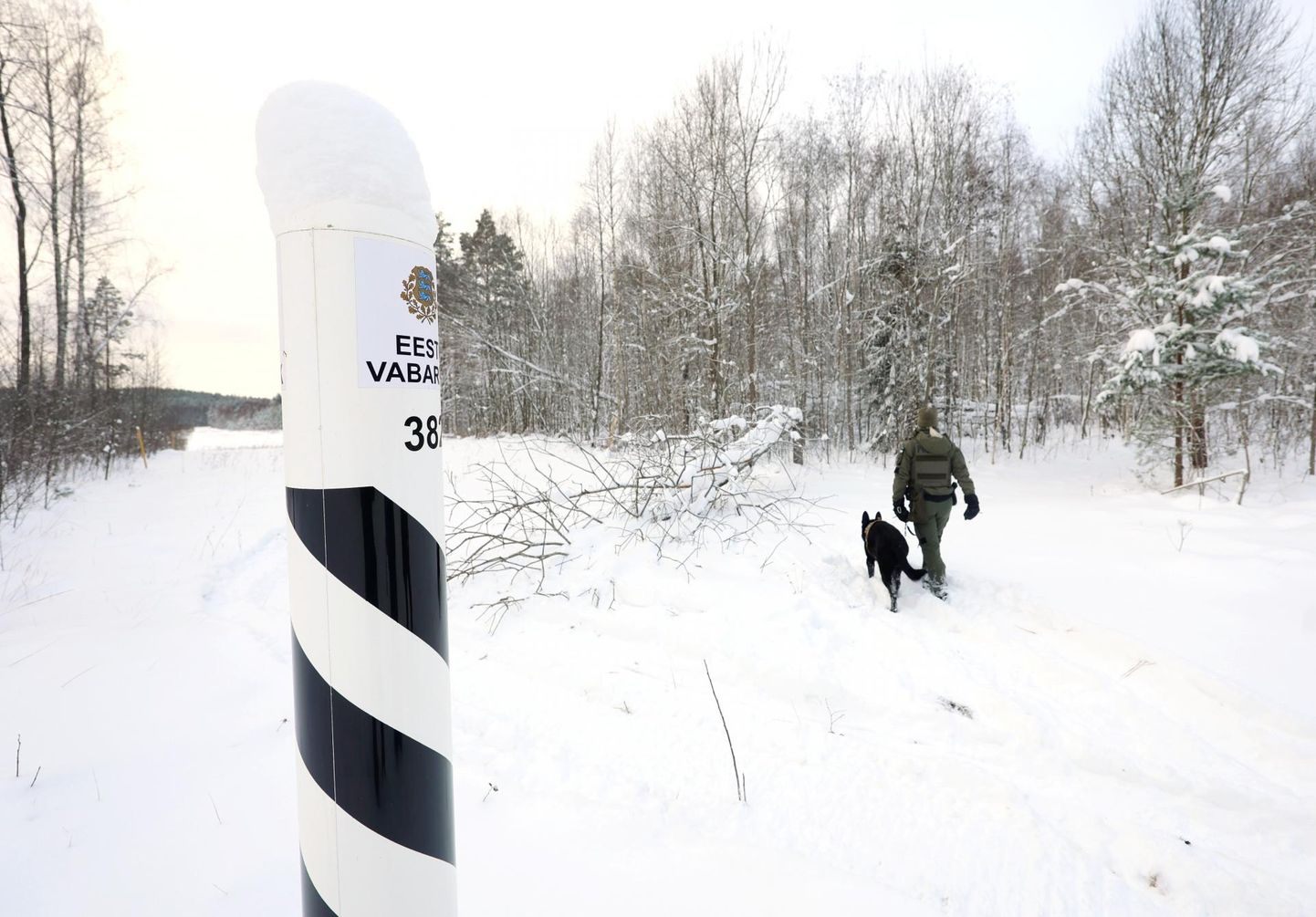 Piirivalvur ja piirivalvekoer Mac valvamas Kagu-Eestis piiri Venemaaga.