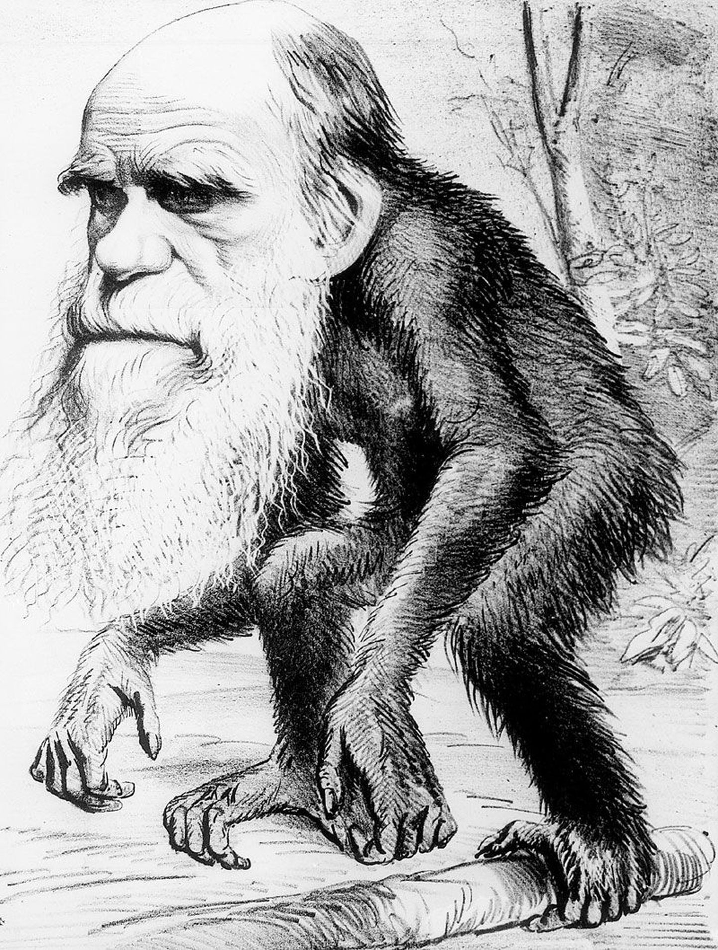 Charles Darwin, kes õppis Cambridge’i Ülikoolis usuteadust, loobus piibellikust loomisteooriast ümbermaailmareisil, kus tegi tähelepanekuid liikide tekkimise kohta. Mõte, et inimene ei ole loodud Jumala näo järgi, vaid tal on hoopis ahviga ühine esivanem, ei olnud toona kõigi jaoks vastuvõetav ega ole seda ka veel tänapäeval.