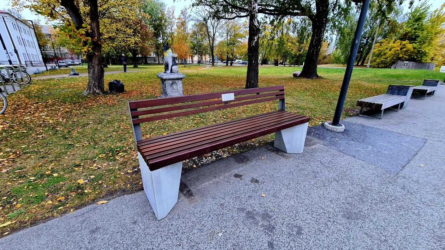 Фото статьи