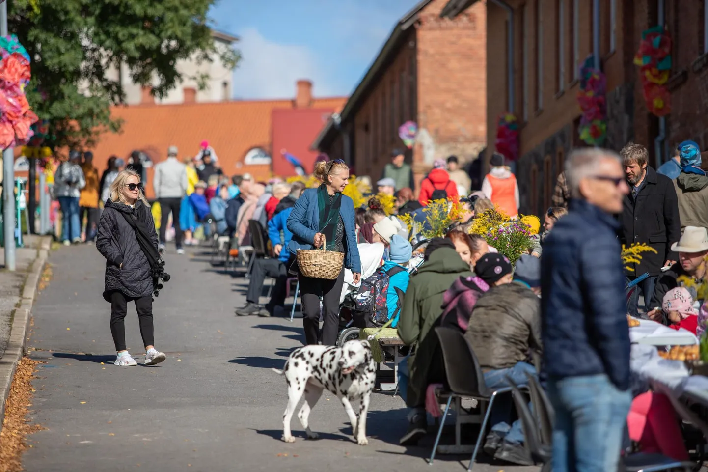 Kui eelmisel aastal pidasid viljandlased linna sünnipäeva puhul pika laua pidu Mäe tänaval, siis tänavu katavad peolised üheskoos laua Koidu tänaval.