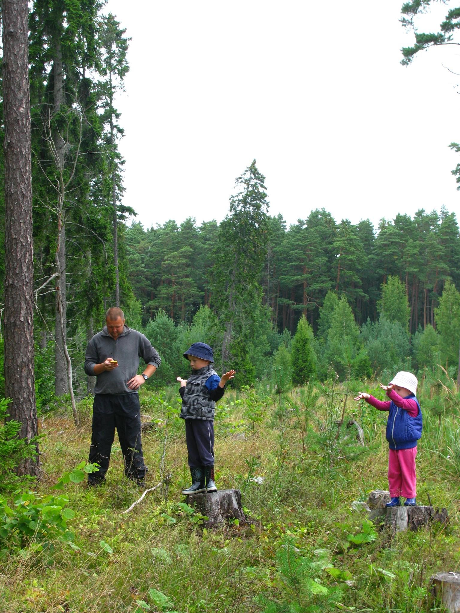 ASi Timber metsaspetsialist Kristo Kütt koos oma lastega metsas. Taamal näha pea kogu metsa eluring – lageraielank, noor kultuur, noorendik, keskealine ja küps mets.