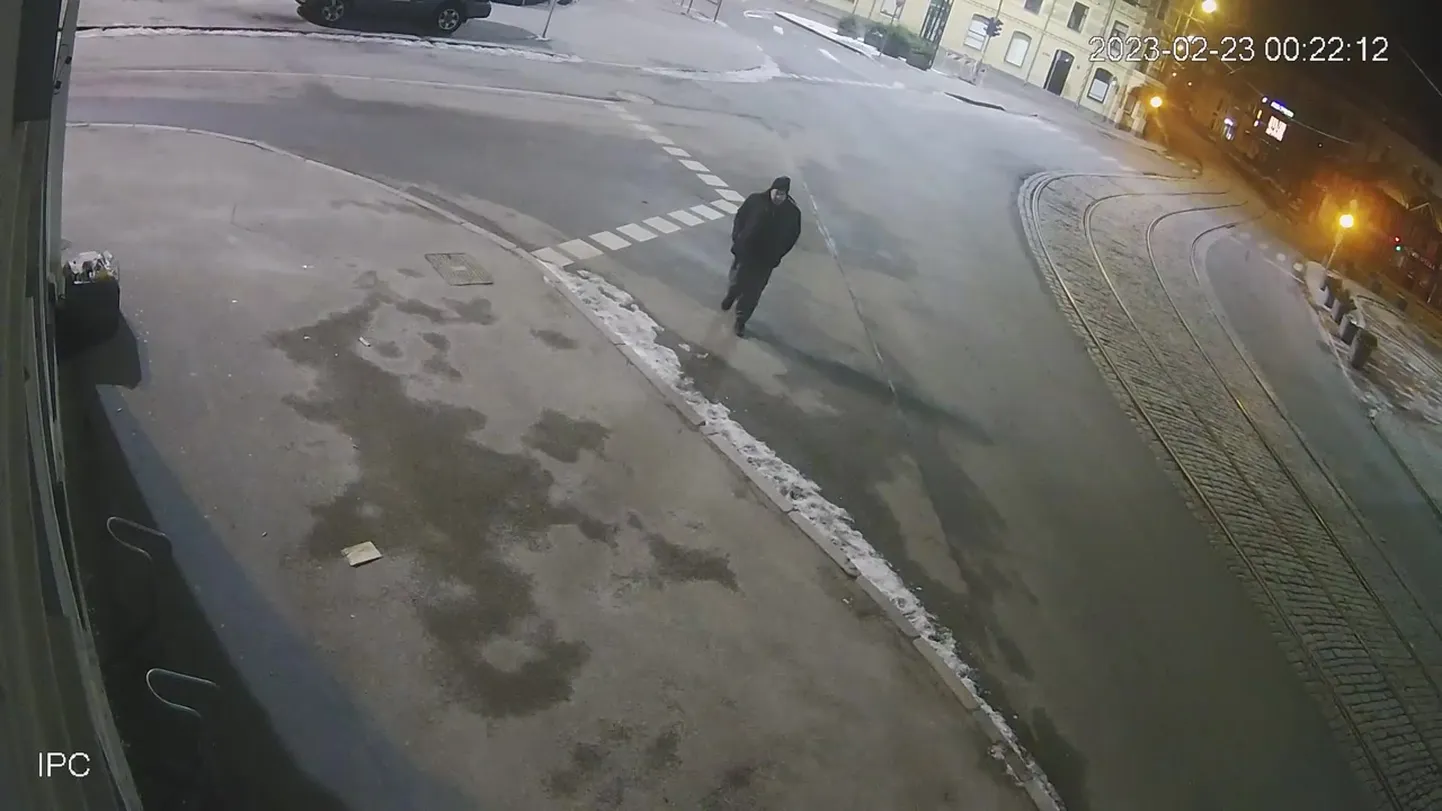 Фото статьи