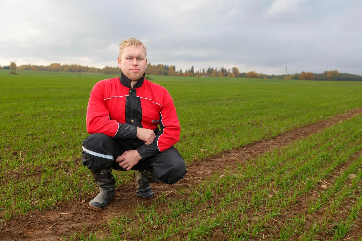 «Kui hernel on hea aasta, võib sellega korralikult teenida,» kinnitas Uhtjärve küla noor põllumees Gert Neeme.