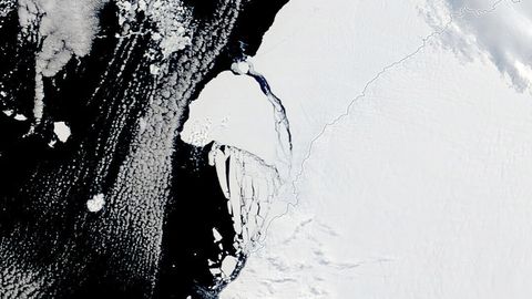 Antarktikas on tänavu merejääd rekordiliselt vähe