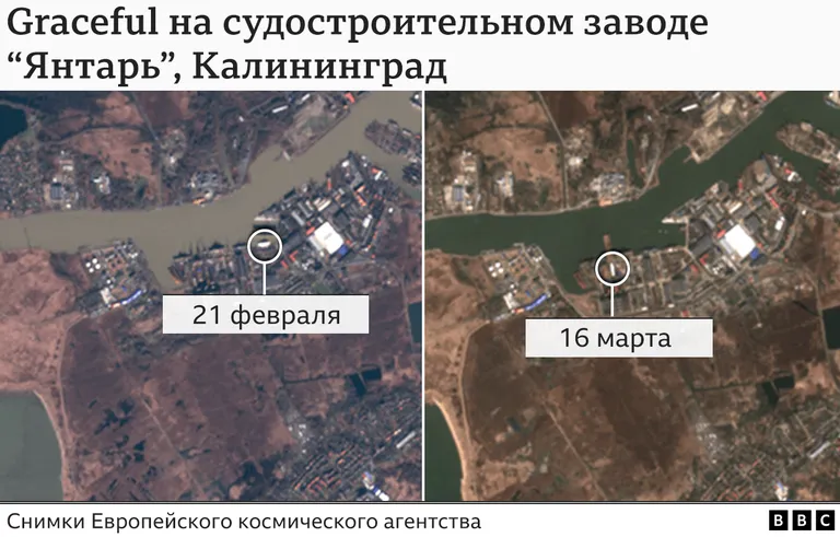 Фото статьи