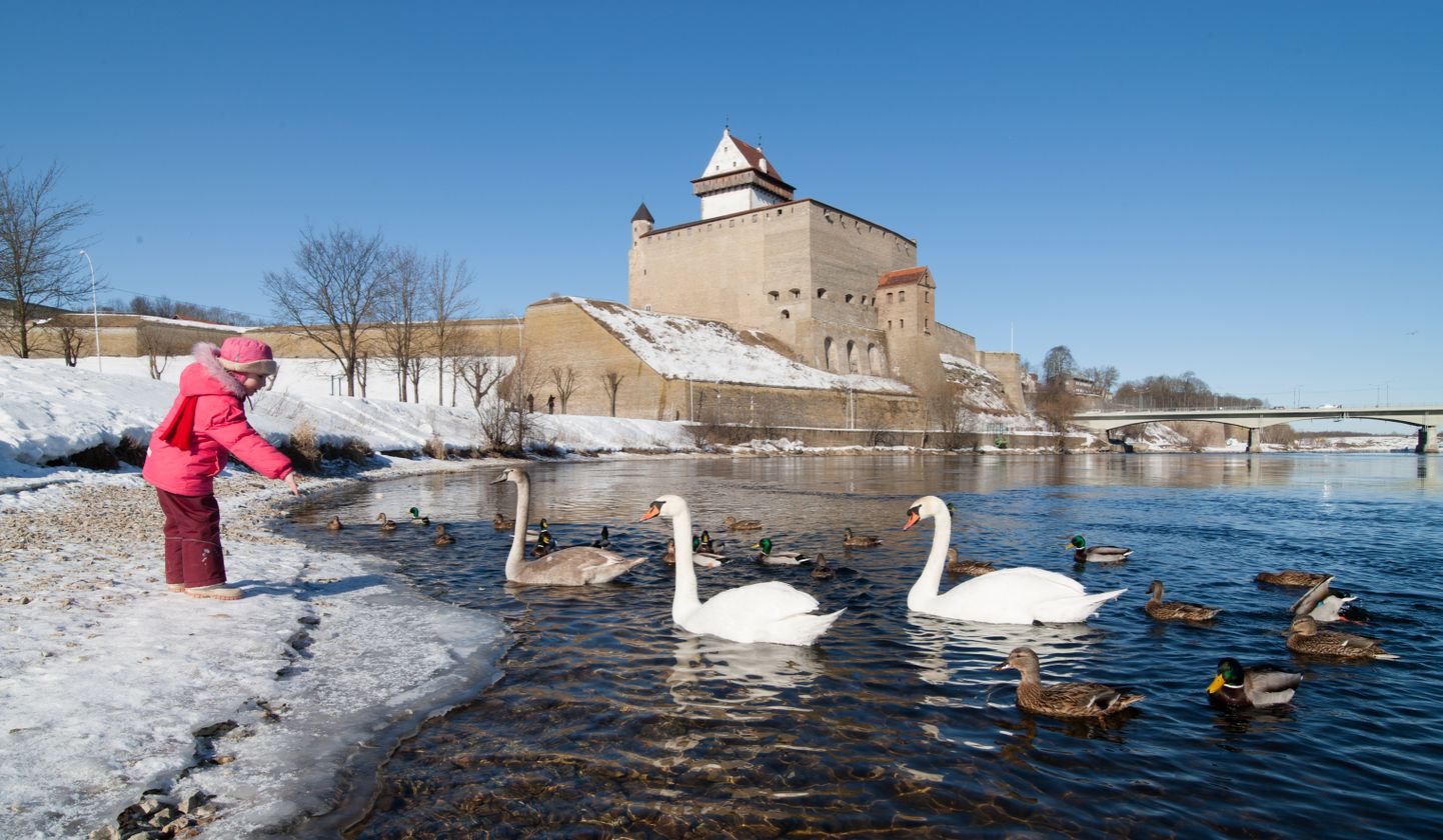 Narva jõel on linnakeskkonna jaoks ülioluline roll, seda nii veetarbimise, elurikkuse kui esteetiliste väärtuste mõttes.