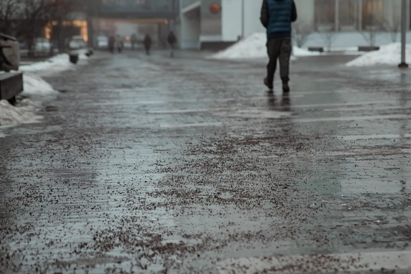 Kõikuvate kraadide tõttu on teed ohtlikult libedad.