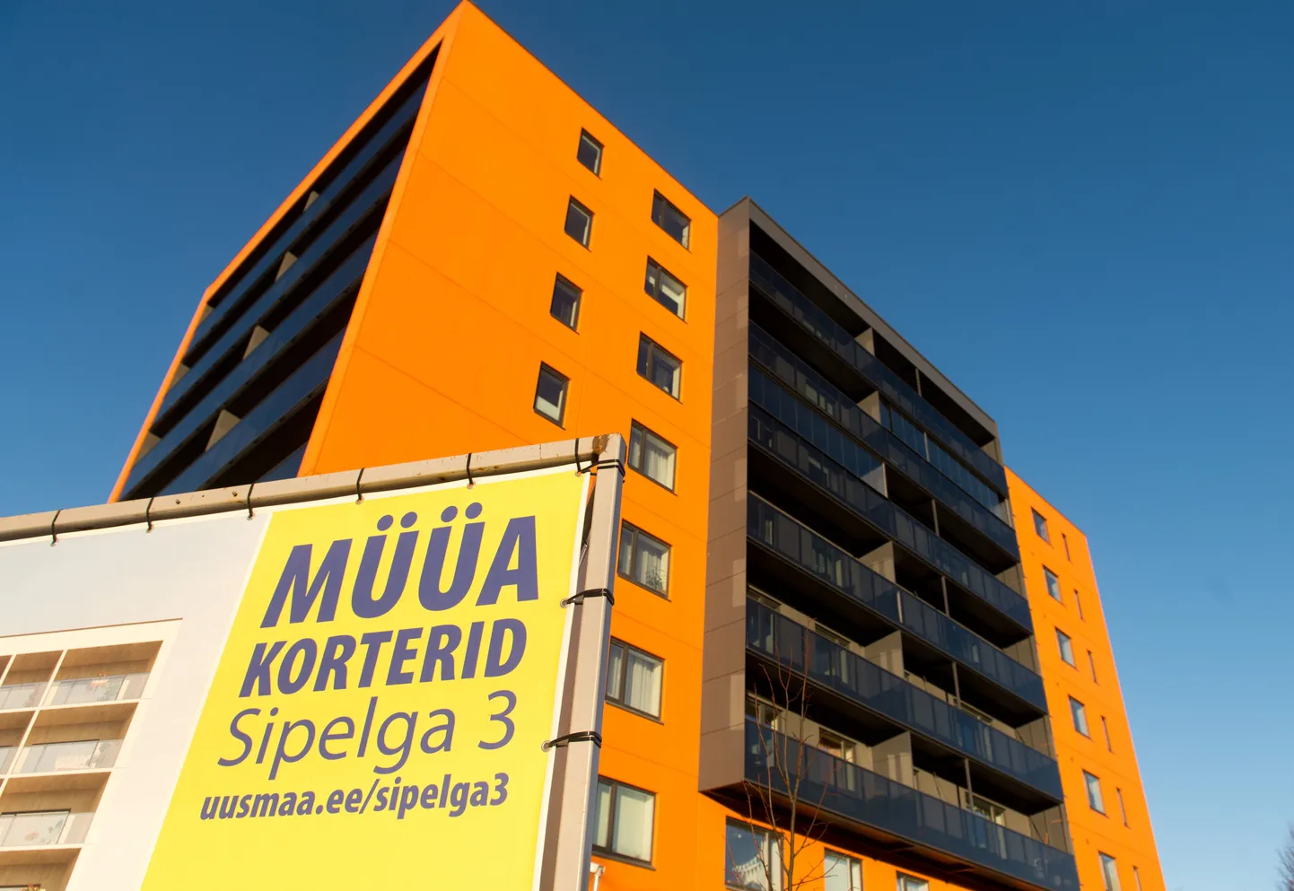 Uusarendused Tallinnas lähevad kui soe sai.