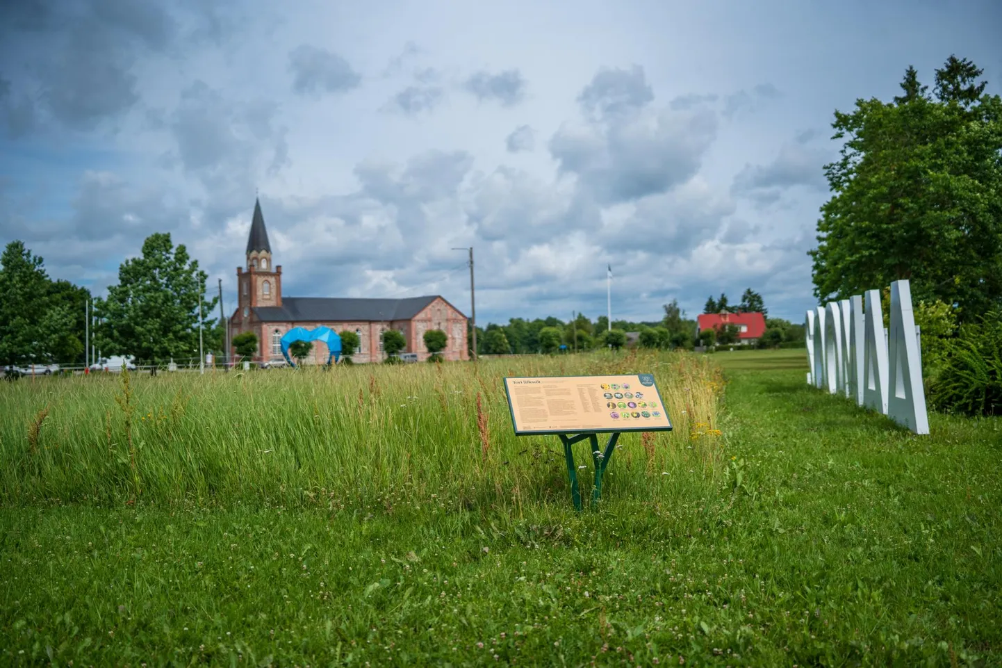 Mullu rajatud Tori lilleniidust saab uue keskuse osa.