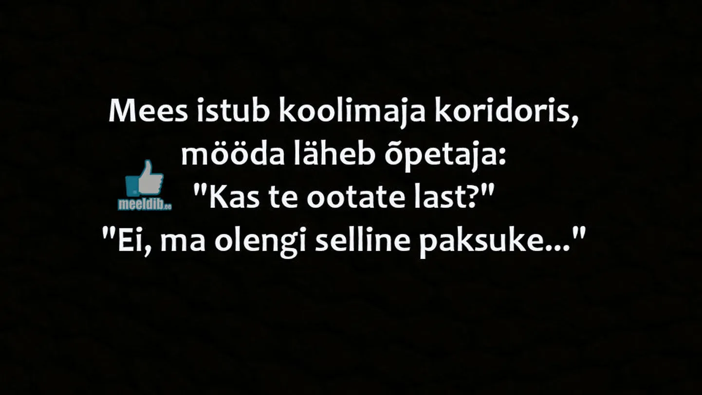 Artikli foto