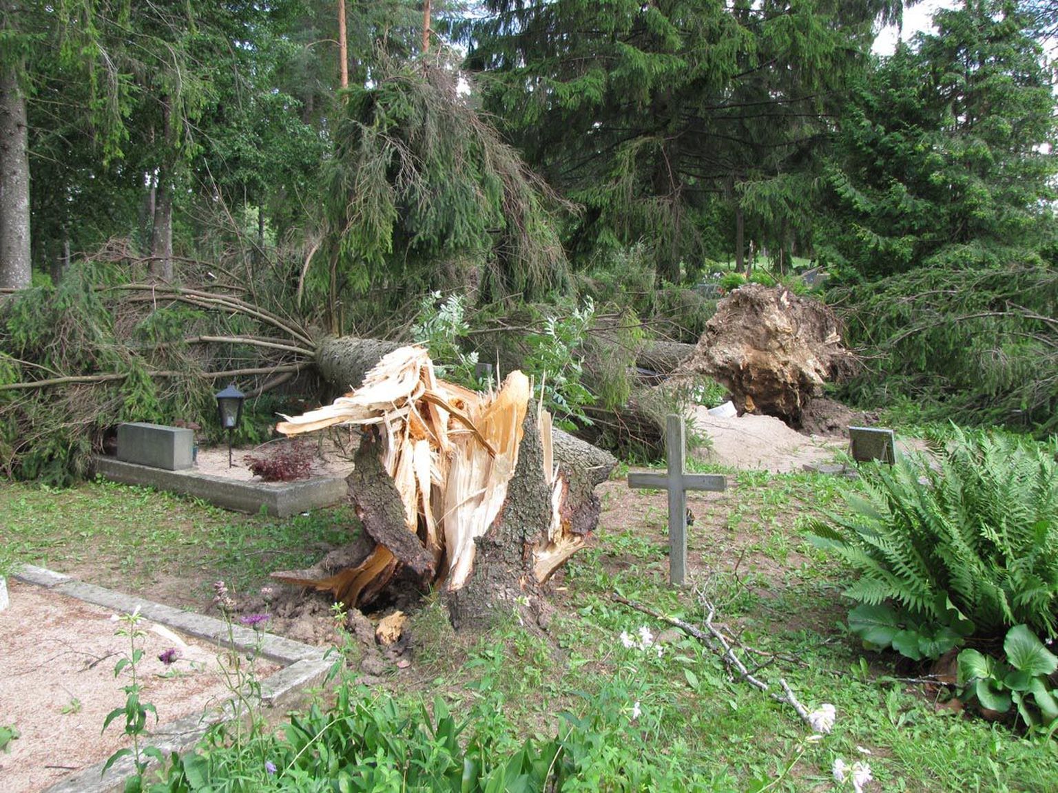Kui palju on torm kalmistul kahju põhjustanud, selgub alles siis, kui puud on koristatud.