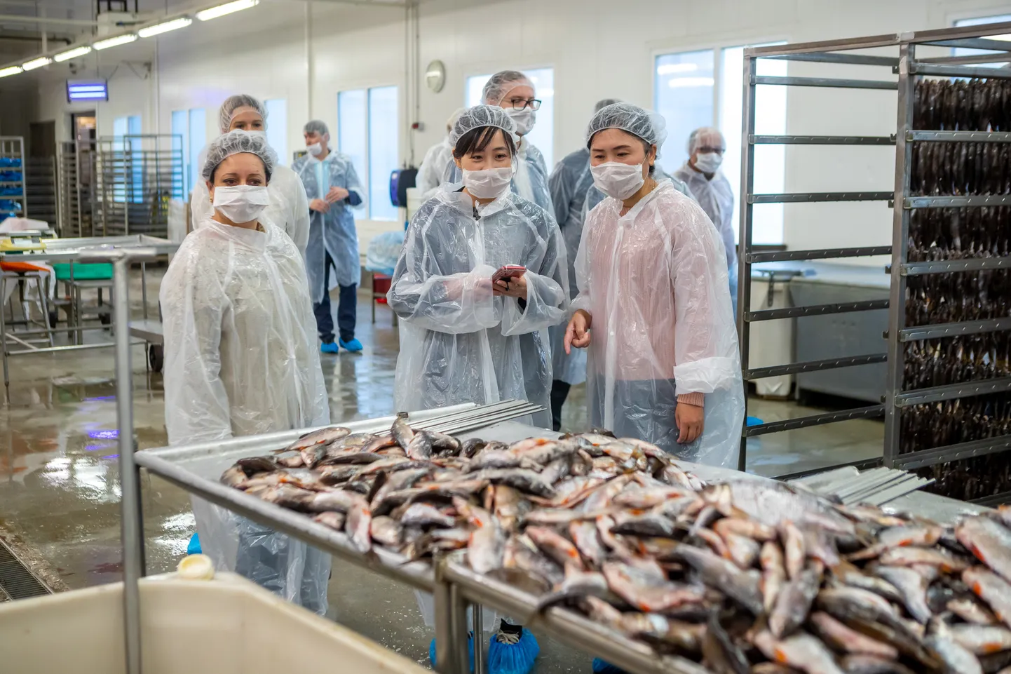 Saaremaad külastanud diplomaadid käisid Läätsa kalatööstuses.
