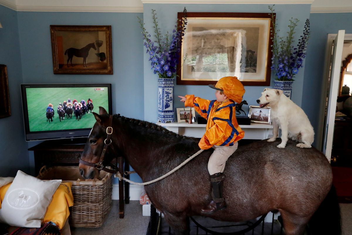 Dorseta, Lielbritānija. Trīs gadus vecā Merlina Kolesa, sēžot uz zirga kopā ar savu suni, televizorā vēro Askotas Karaliskās zirgu skriešanās sacīkstes.