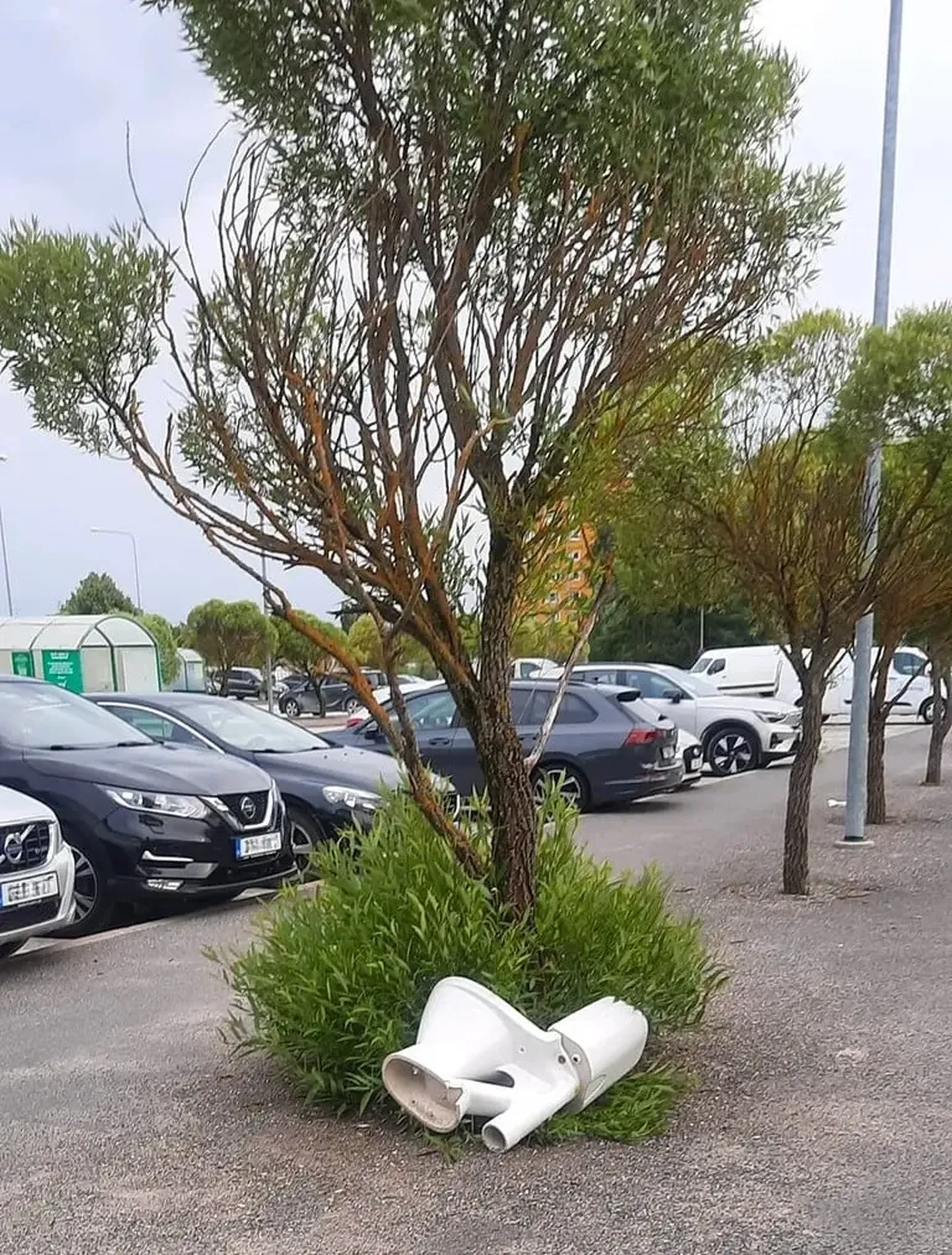Vētras atpūstais klozetpods.