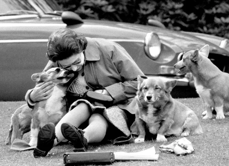 Королева Елизавета со своими собаками породы корги, 1973 год.
