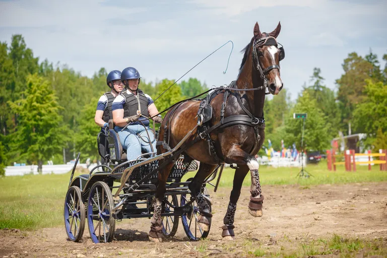 Rakendispordi 3* üherakendite võistluse võitis soomlanna Talvikki Järvinen.
