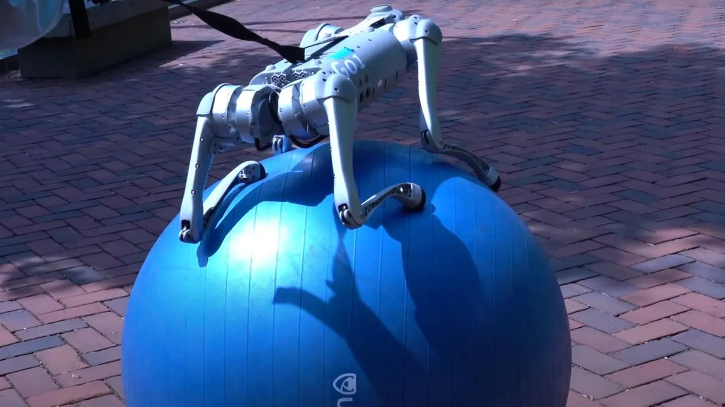 Sel moel askeldab robotkoer uue tehisaru abil joogapallil.
