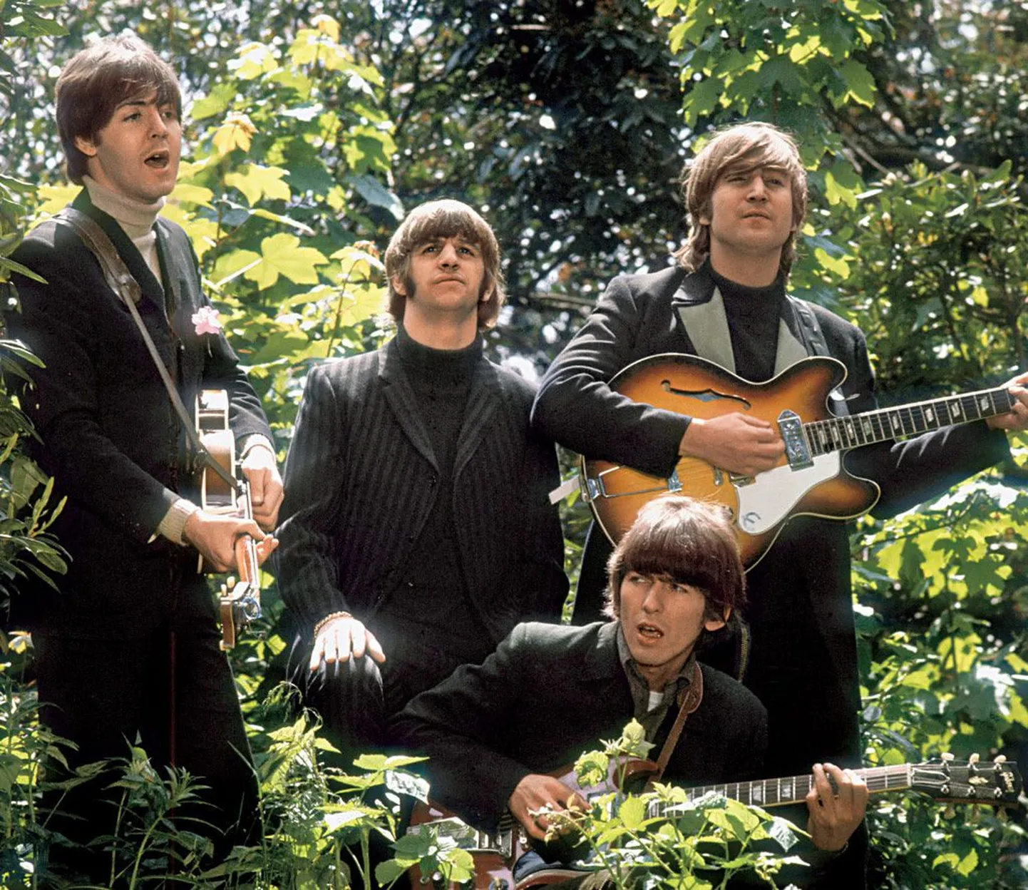 The Beatles