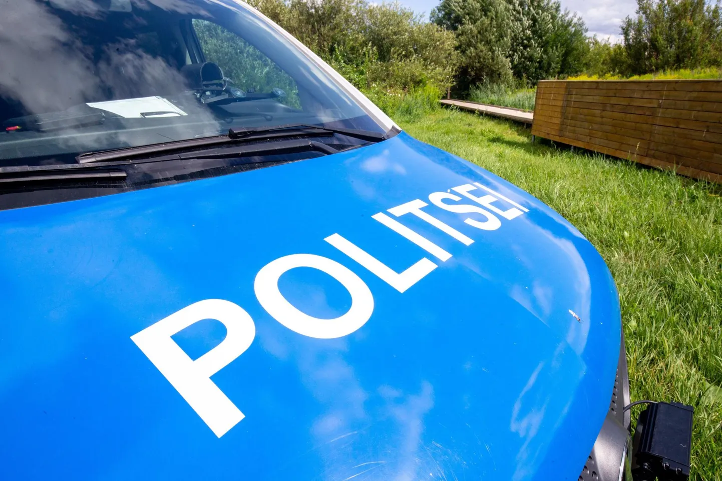 Polisei asus uurima vast poeginud koera surma asjaolusid. Foto on illustreeriv.