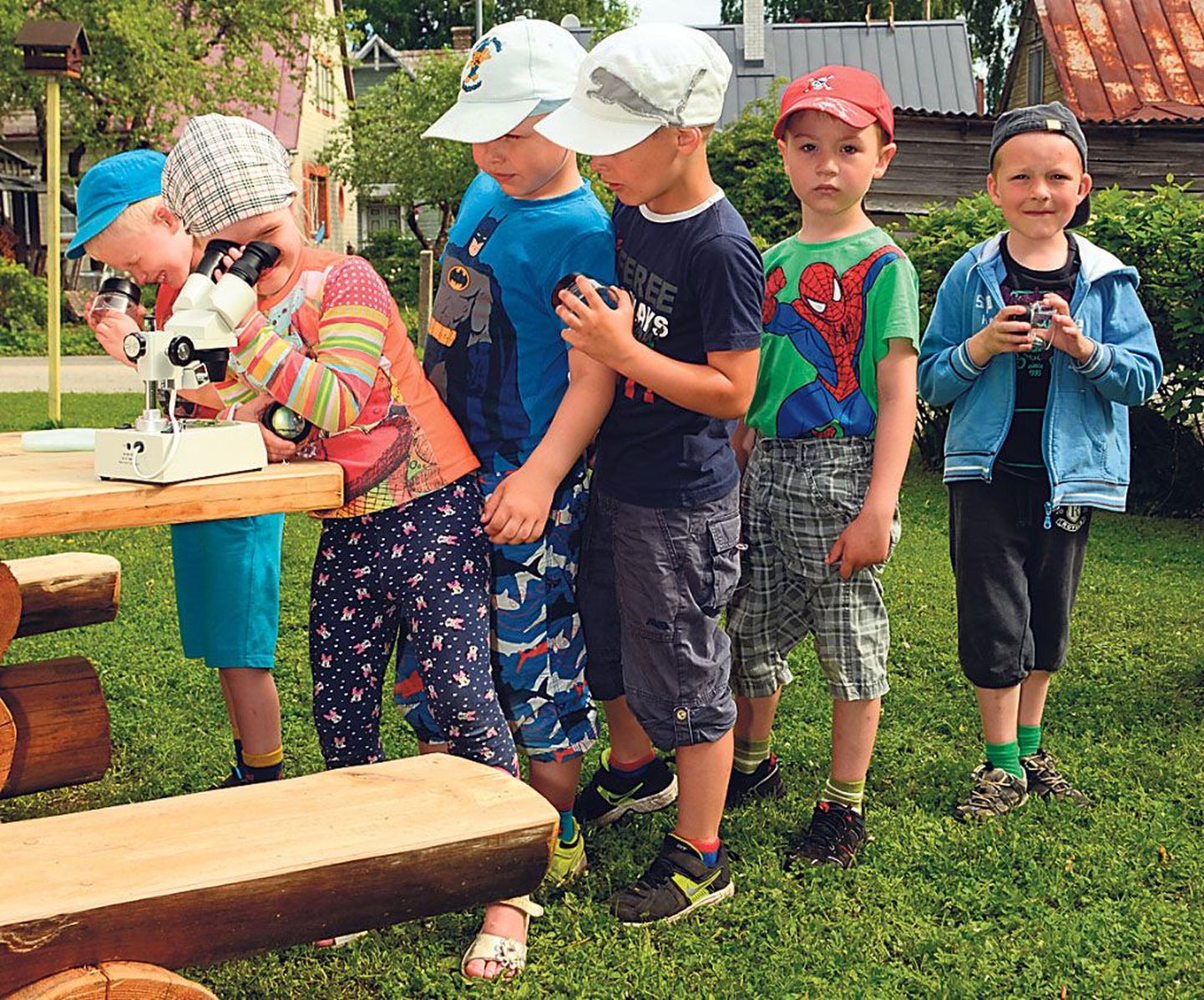Tammsaare lasteaia Orava rühma lapsed uurivad binokulaarmikroskoobiga, kas sipelgal on kuus, kaheksa või hoopis kümme jalga.