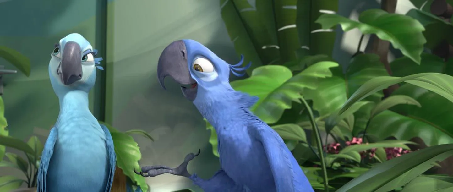 Eestikeelne animatsioon "Rio" jutustab lustaka loo siniaarast Blu, kes läheb endale Rio de Janeirosse kaaslast otsima.