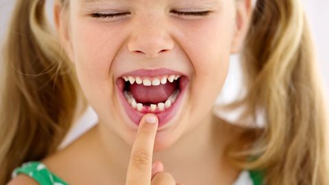 Berlocid 800Mg/160Mg Инструкция