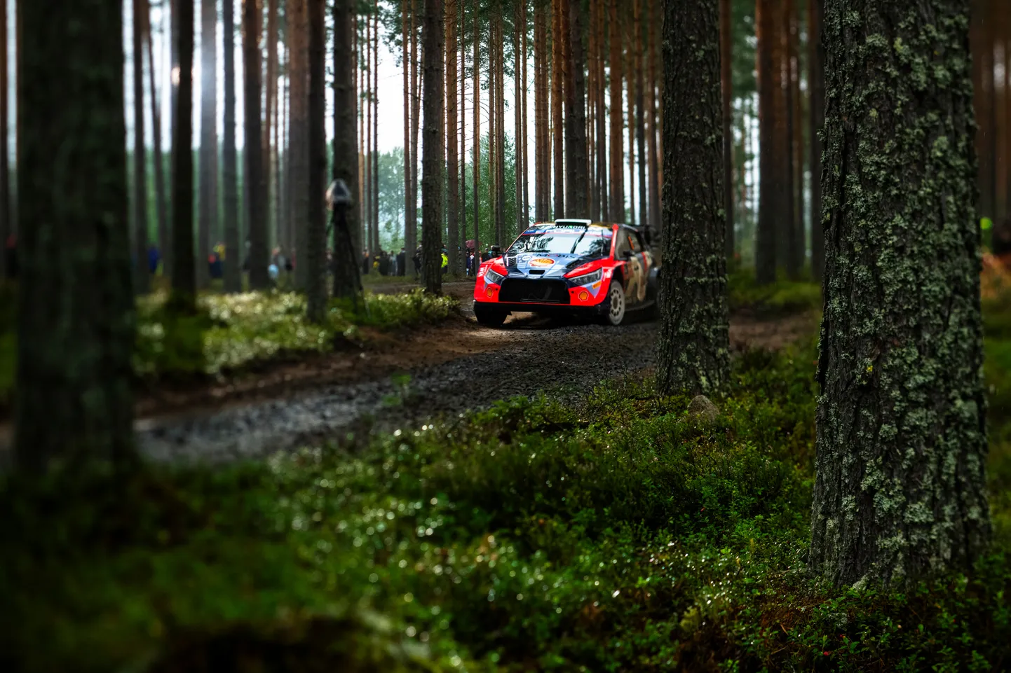 WRC-sarja punktisüsteem võib taas muutuda.