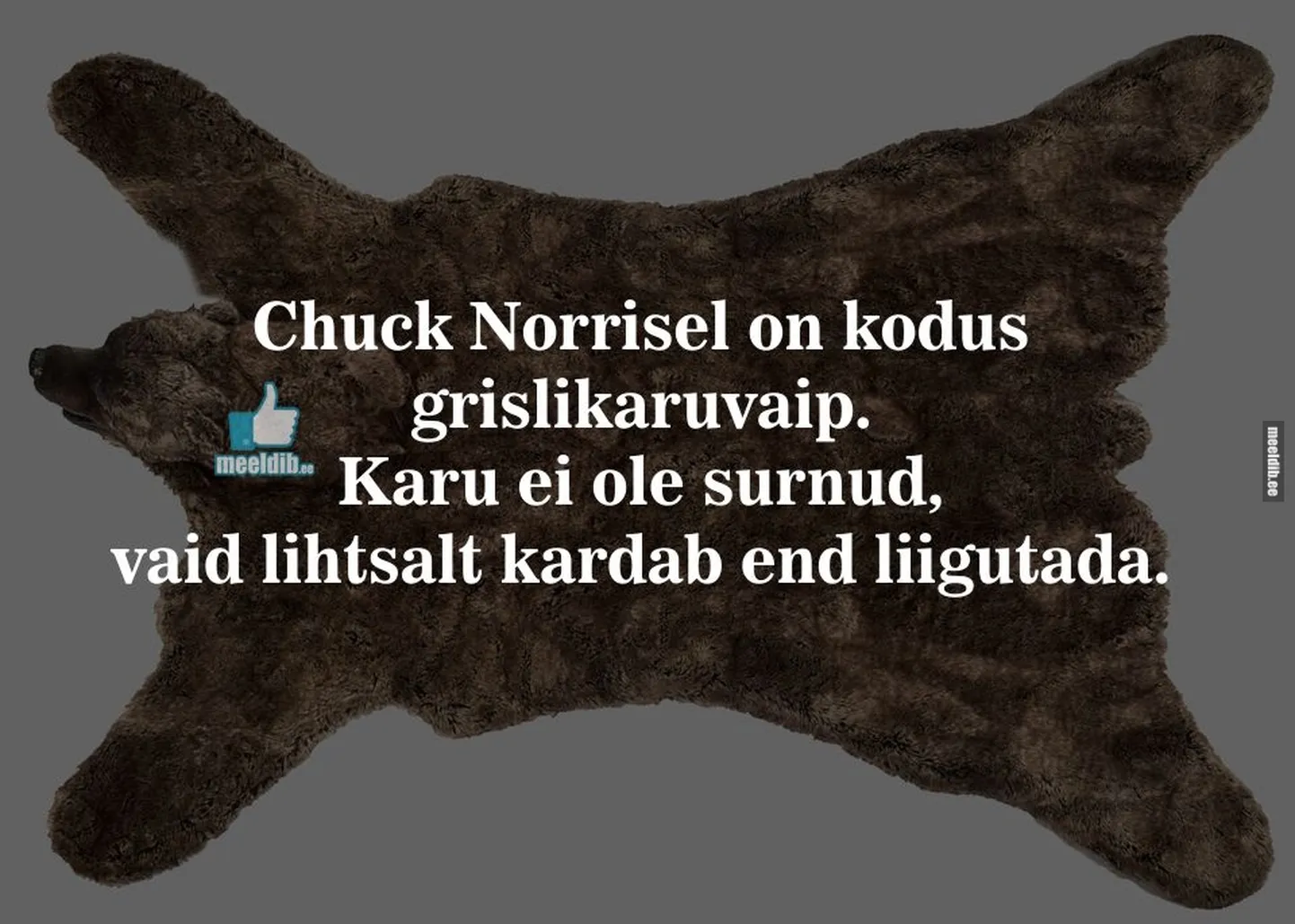 Artikli foto