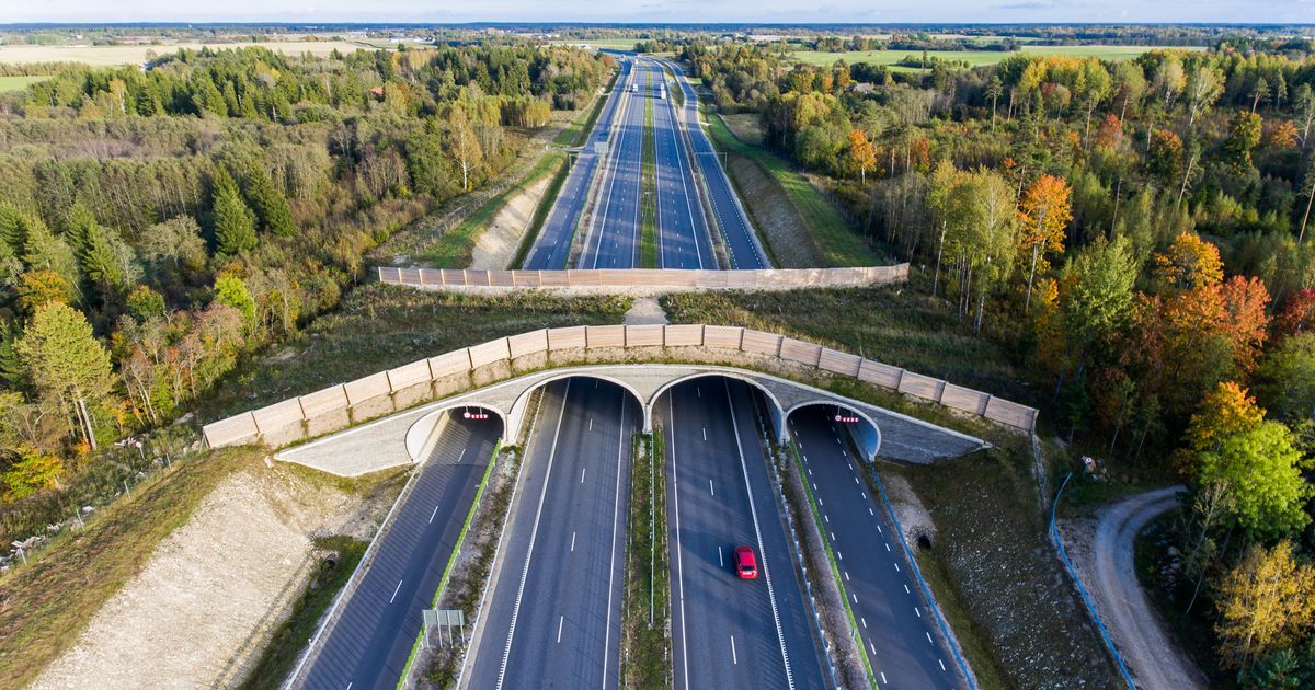 Aas: neljarajalise Tallinna–Tartu maantee projekteerimine algab järgmisel aastal