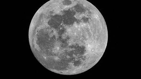 Moon's shadowed craters may harbor life, NASA study suggests