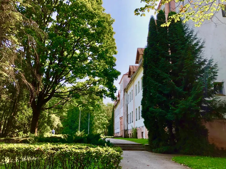 Raksta foto