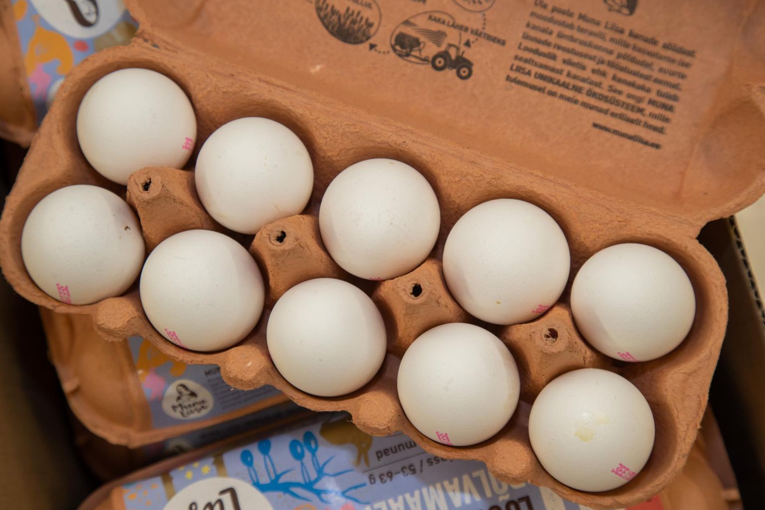 Karp munadega. Pilt on illustreeriv