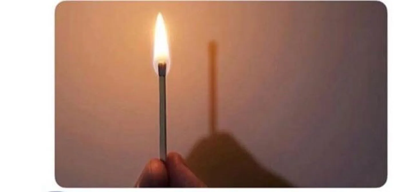 Leek ei jäta varju