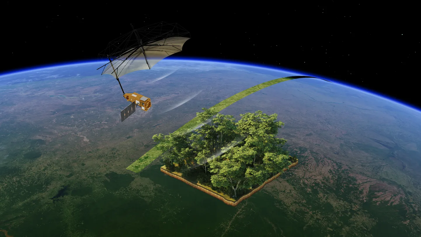 ESA Biomass on esimene satelliit, mis kannab P-riba lainete aparatuuriga radarit. Tänu P-riba lainepikkusele, mis on umbes 70 cm, suudab see uudne radar tungida läbi metsa ja puuvõrade, võimaldades koguda infot metsa eri osade, näiteks puutüvede, okste ja varte kohta.