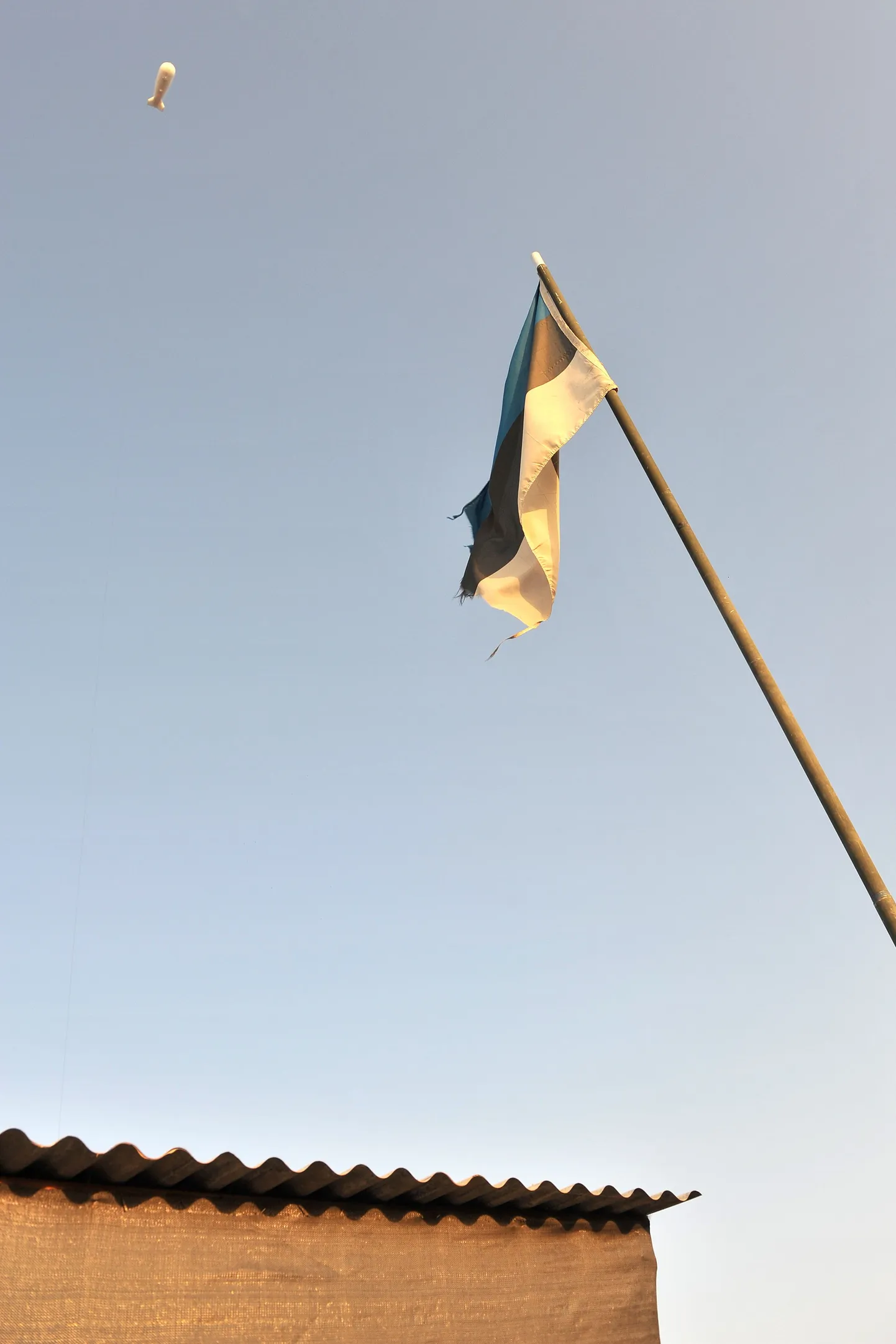 Artikli foto