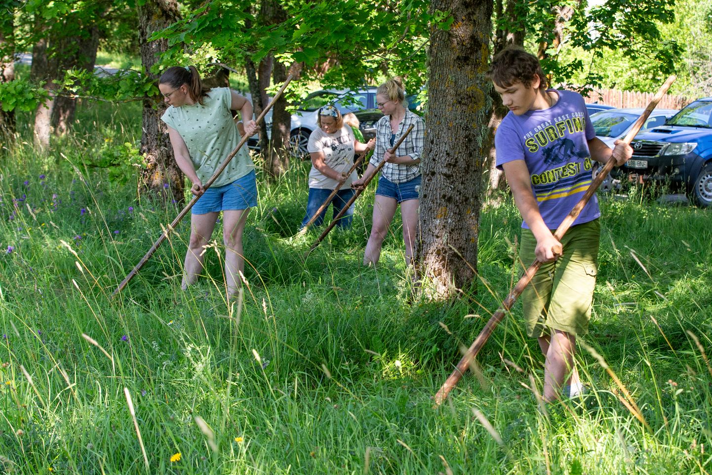 Alutaguse rahvuspargi noore looduskaitsja laager keskendub seekord samuti pärandniitudele ning nooredki tulid vikatiga niitmist proovima.