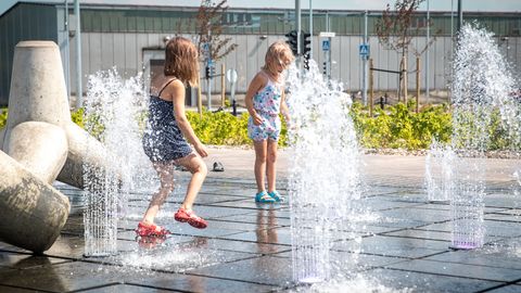 Heatwave claiming lives in Western Europe may push Estonia's temperature to 30 degrees Celsius