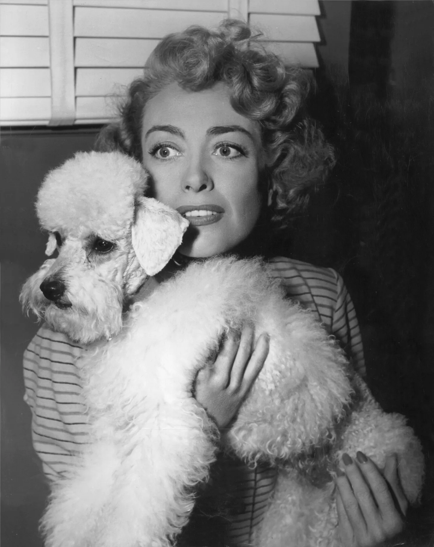 Joan Crawford pictured with her French poodle, "Cliquot"