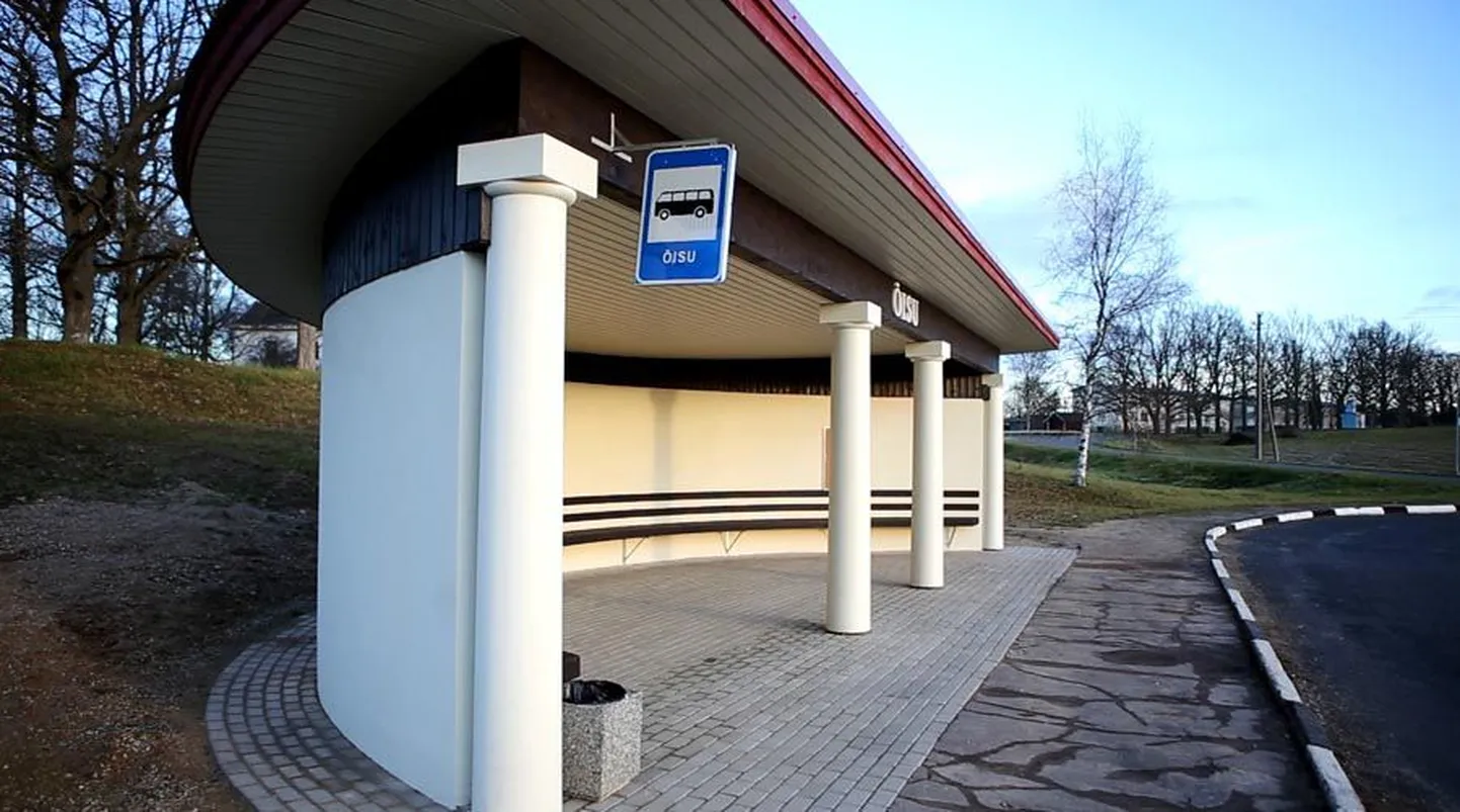 Õisu bussipeatuses ajasid politseinikud pealtnägijate kinnitusel selga kuulivestid ja võtsid kaasa vajaliku turvavarustuse, et minna agressiivset meest rahustama. Selleks oli vaja nelja politseiniku jõudu ja kümmet kuuli.