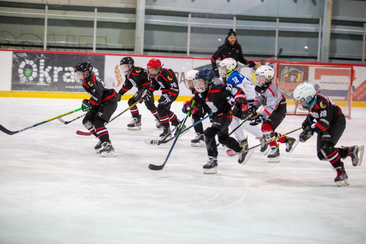 Viljandi jäähalli karikavõistlustel mängivad alla 14-aastased hokimängijad. Viljandi noored võõrustavad koduhallis kolme hokiklubi.